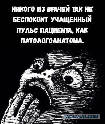 Немного картинок для настроения - 125