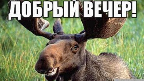 Зефирная пышечка