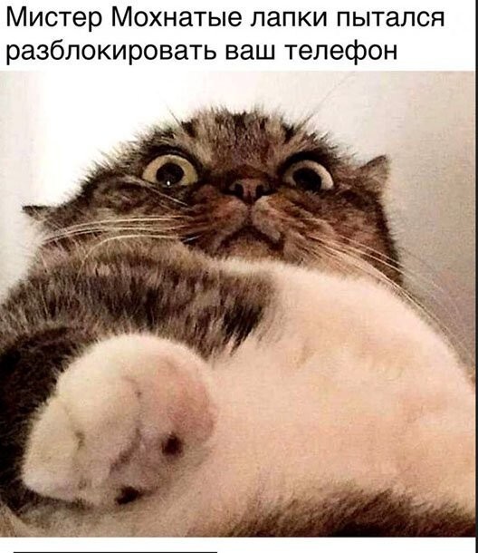 Прикольные и просто красивые картинки 18.11.2022