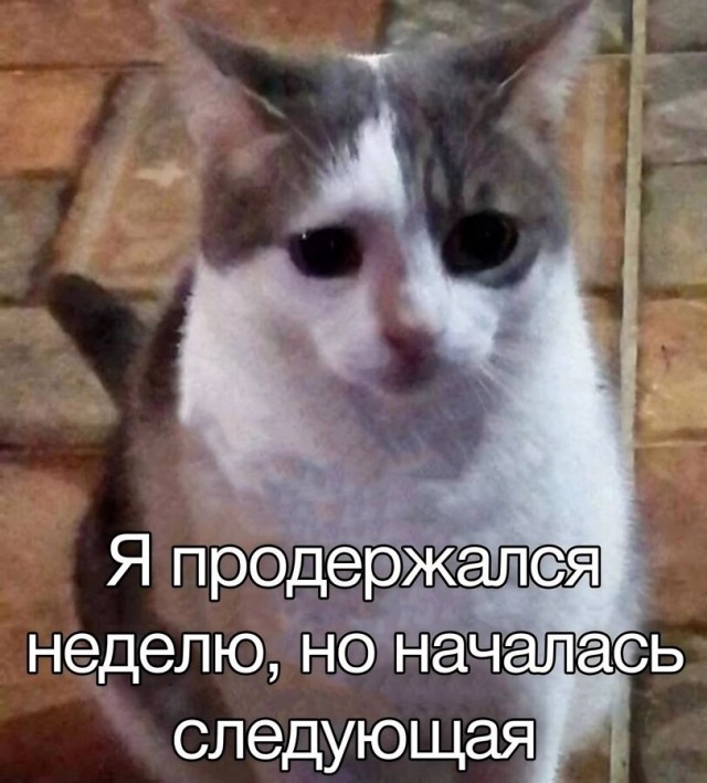 Тестирование у психиатра
