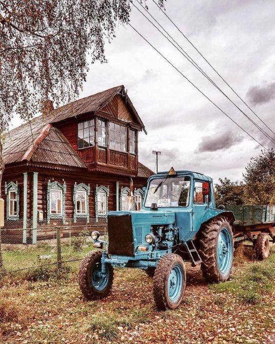 Прикольные и просто красивые картинки 31.01.2023