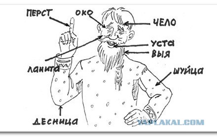 Дума приняла закон о контроле за соблюдением норм русского литературного языка
