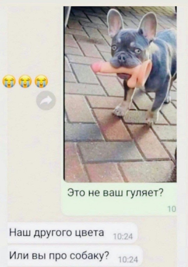 Пятница. И немного слегка пошлых картинок с надписями и без 16+ (10.03)