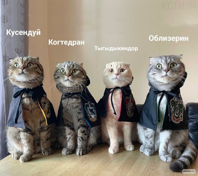 Картинки и мемы для настроения - 137