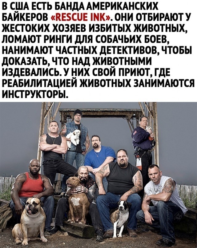 Так себе картинки 08.04.23
