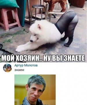 Сколько счас стоит писечка