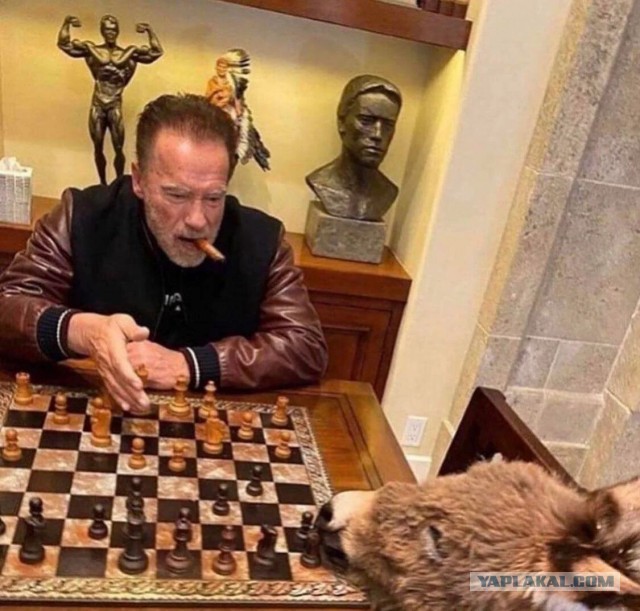 Народная меДИЧина 3027