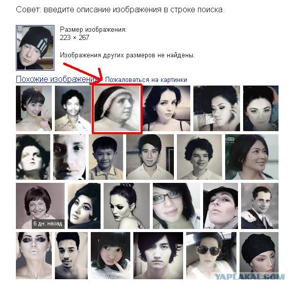 Заебись живём