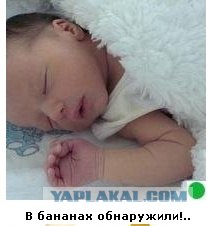 Автодемотиватор на ЯПе