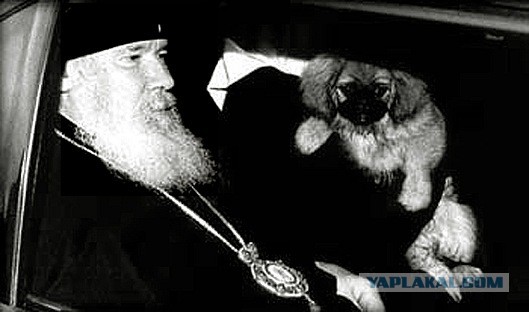 Человек и собака