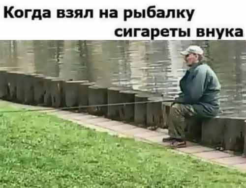 Так себе картинки 22.10.24