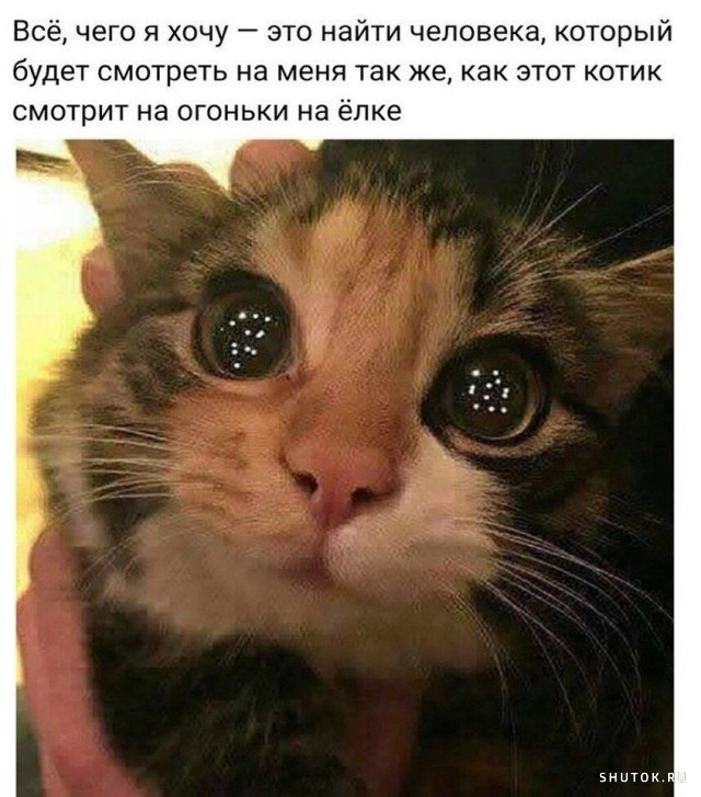 Так себе картинки 01.11.24