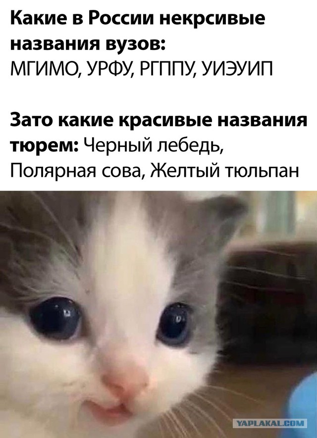 Давайте опубликуем