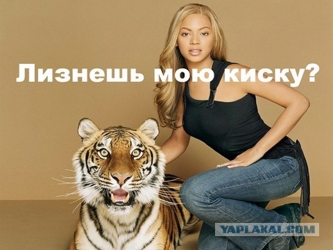 Девушки - ваша киска в зоне риска
