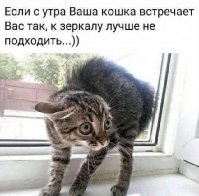 БаянЫ 3