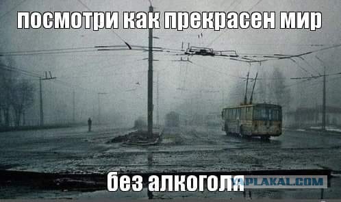Два года пути! Год без алкоголя! Первый праздник без капли