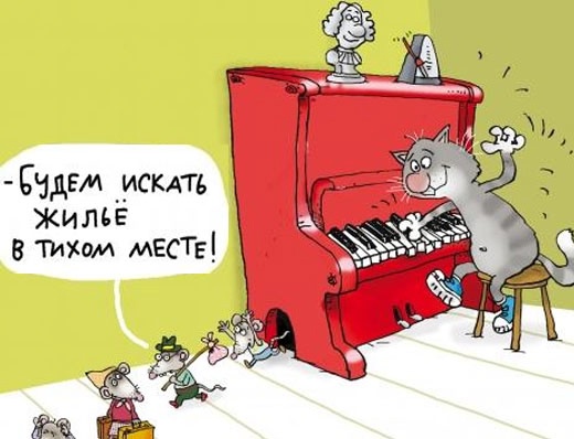 Так себе картинки 11.01.25