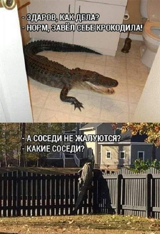 Картинки разные с надписями и без