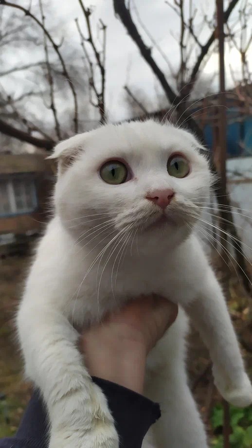 Это не меня заперли с вами, это вас заперли со мной