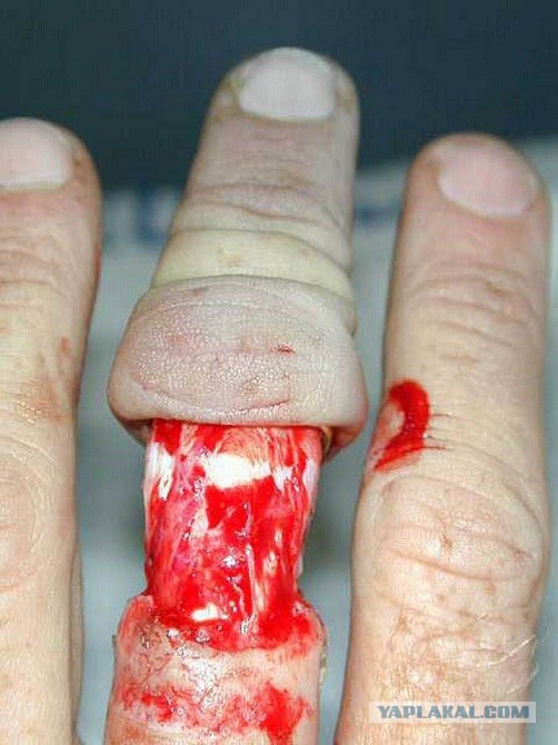 Путина обвинили в краже кольца Super Bowl