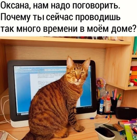 Завалялось тут случайно немного забавных картинок