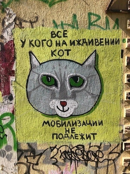 Иду на сво, помогите советом