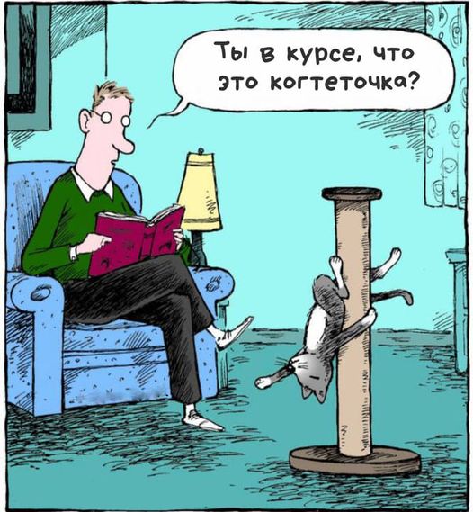 Интернет мемчики за пол дня, ну сколько набралось