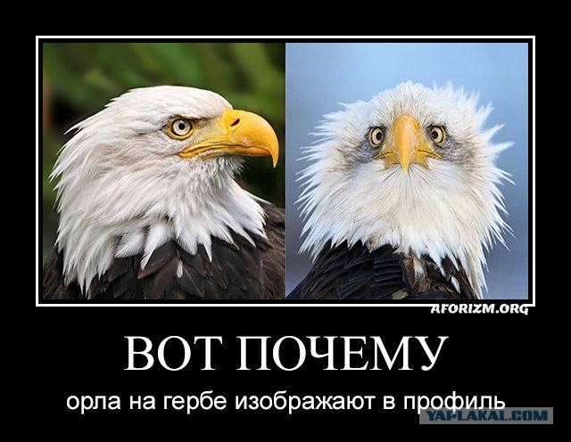 Страшненькая, но симпатичная