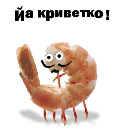 Ученые обнаружили кокаин абсолютно во всех креветках, выловленных для взятия проб в английских водоемах