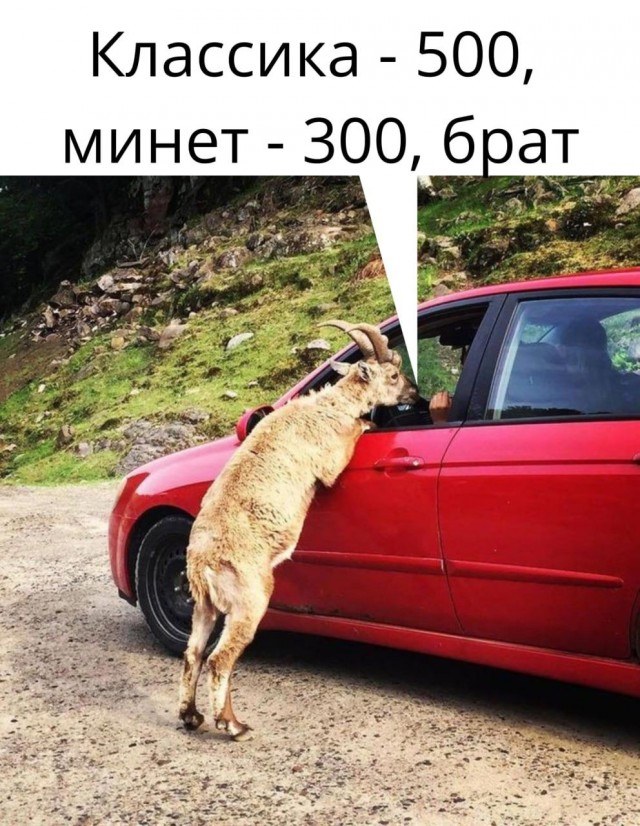 Блохер Даур Отсосович