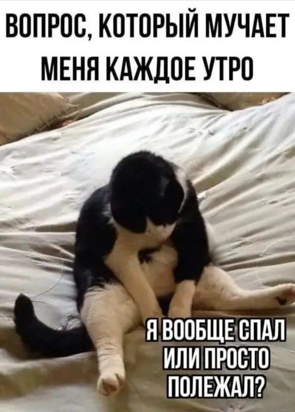 Вторник . Немного картинок