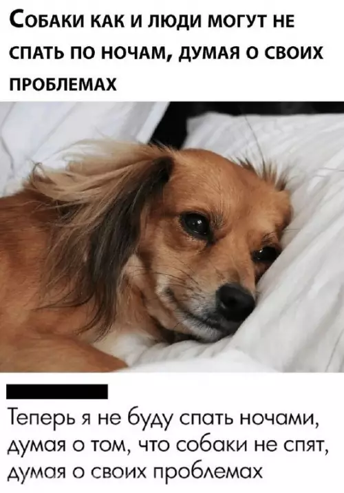 Картиночки, баянчики 21 февраля