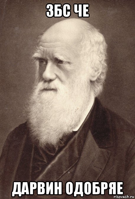 Ой, а что это там бумкнуло?