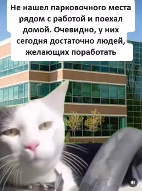 Картиночки, баянчики 24 марта