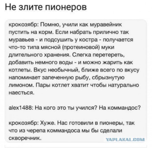 С днем пионерии