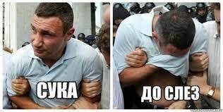 Если часто получать в голову, в ней появляются умные мысли....