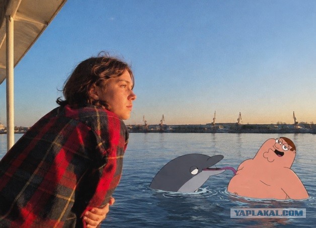 Дельфин и русалка