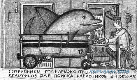 Ели (5 пикч)