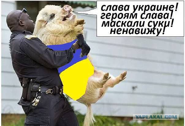 Смешные картинки