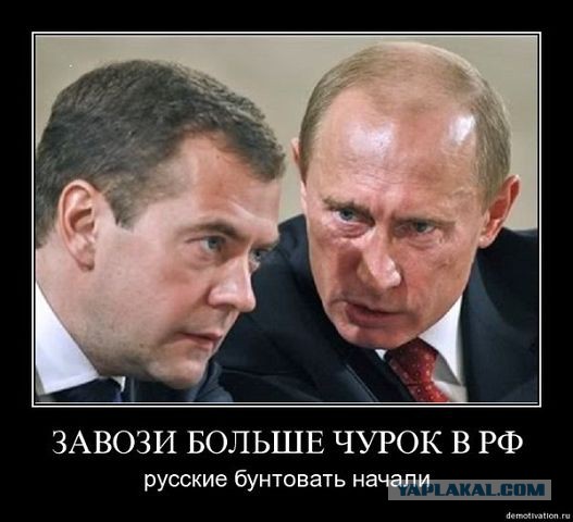 Губарев: Остался час до начала тотального