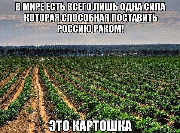 Чем мы бесим Америку и страдальцев по фуагра,