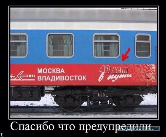 Весёлое из сети