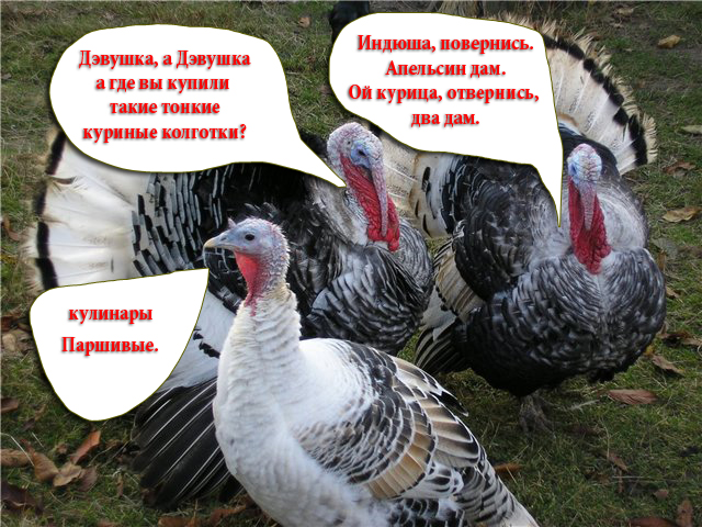 Итоги Кулинарного конкурса