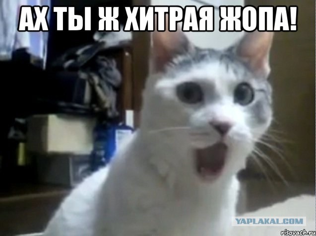Подборка сумасшедшего постельного белья