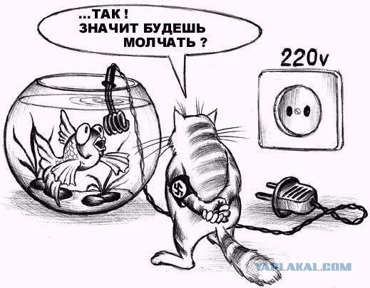 Очередная порция картинок из сети