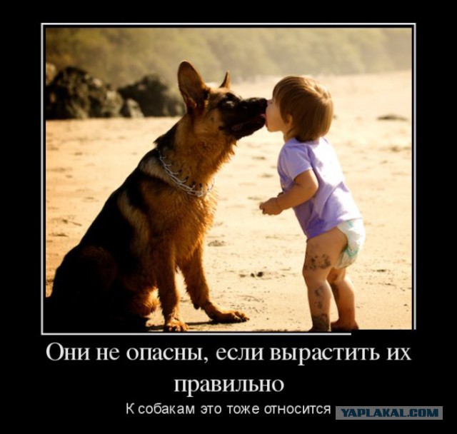 Жестокость с детства. Норма?