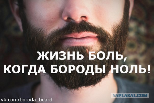Бородачам посвящается.