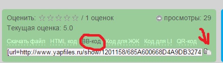 Конкурс мокрых маек по-питерски