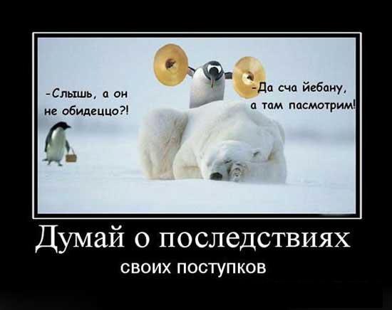 Непостоянный член. Размышления на грани фола.
