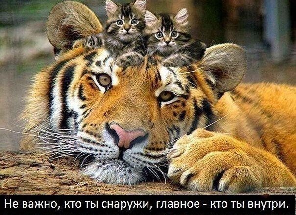 Картинки разные 2